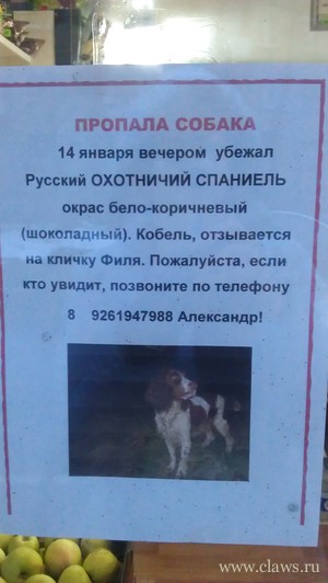 Фото не найдено