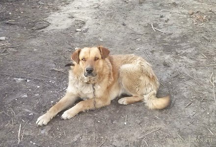 Фото не найдено