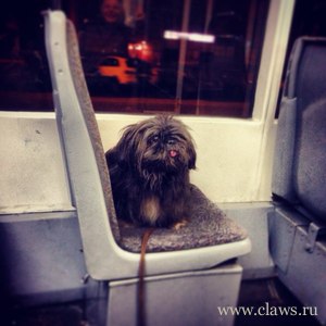Фото не найдено