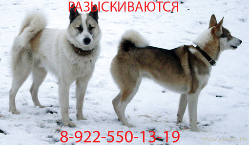 Фото не найдено