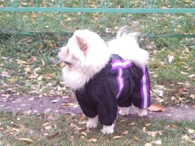 Фото не найдено