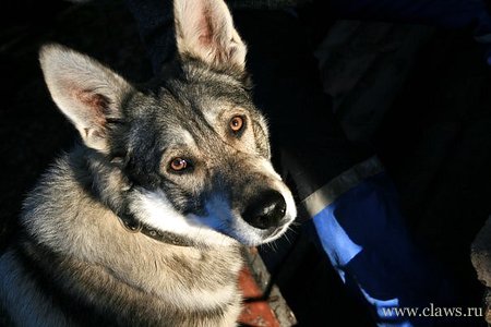 Фото не найдено