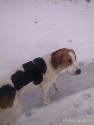 Фото не найдено
