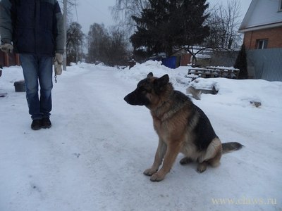 Фото не найдено