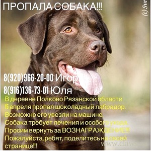 Фото не найдено