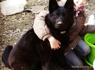 Фото не найдено