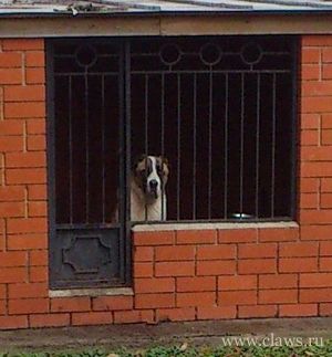 Фото не найдено