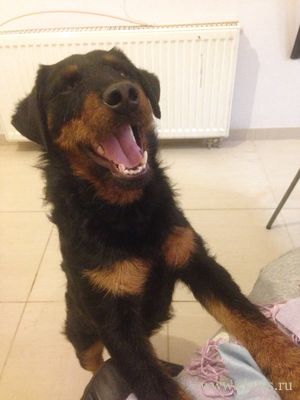 Фото не найдено