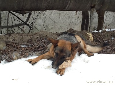 Фото не найдено