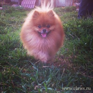 Фото не найдено