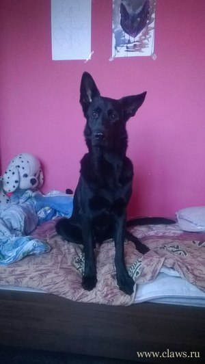 Фото не найдено