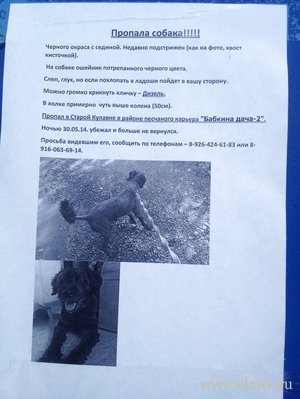 Фото не найдено