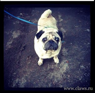 Фото не найдено