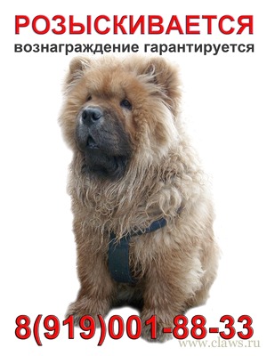 Фото не найдено