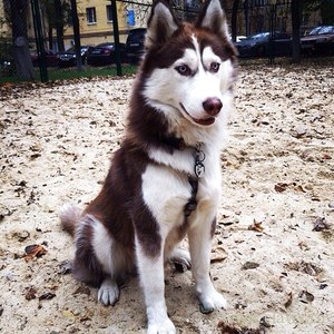 Фото не найдено