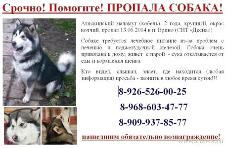 Фото не найдено