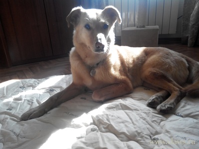 Фото не найдено