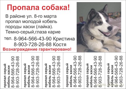 Фото не найдено
