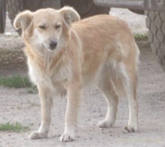 Фото не найдено