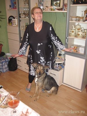 Фото не найдено