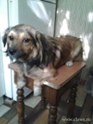 Фото не найдено