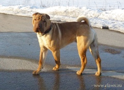 Фото не найдено