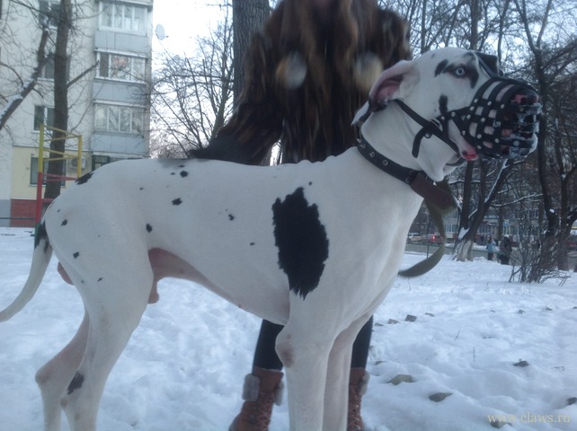 Фото не найдено