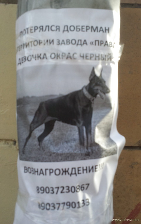 Фото не найдено