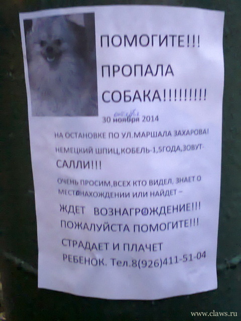 Фото не найдено