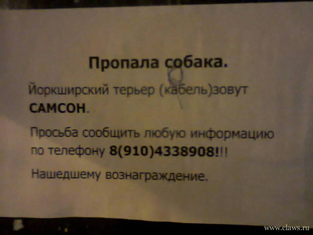Фото не найдено