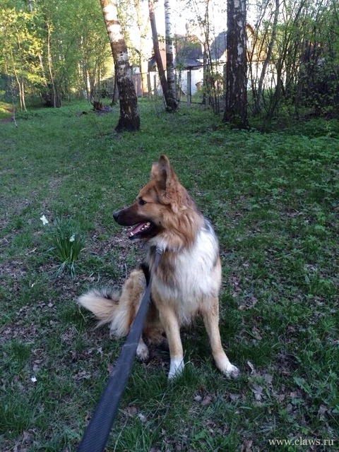 Фото не найдено