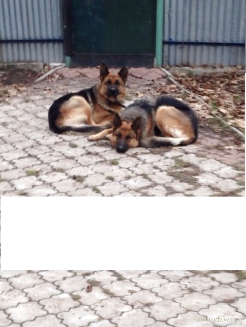 Фото не найдено