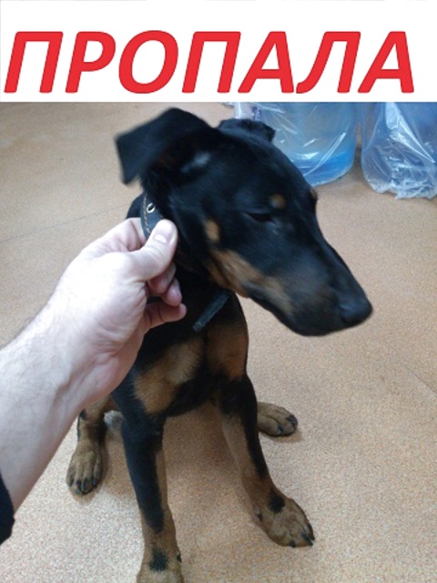 Фото не найдено