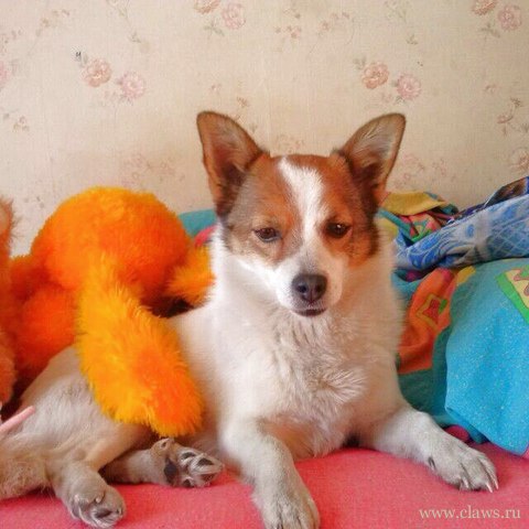 Фото не найдено