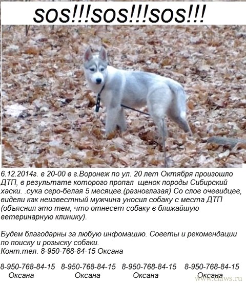 Фото не найдено