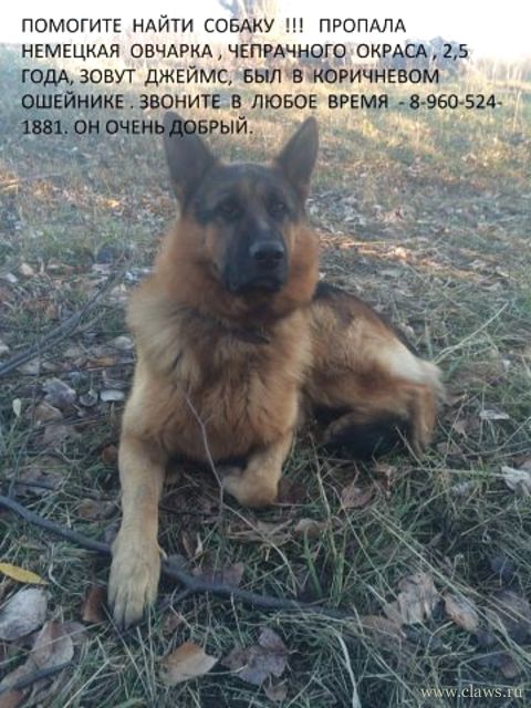 Фото не найдено