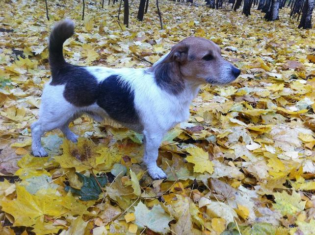 Фото не найдено