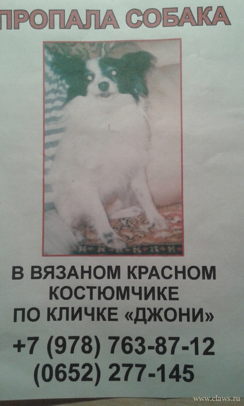 Фото не найдено