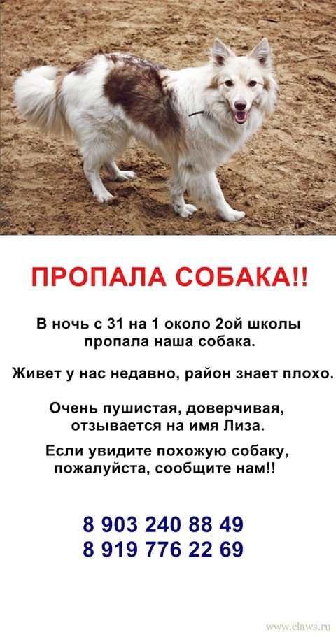 Фото не найдено