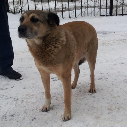 Фото не найдено