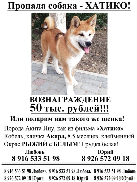 Фото не найдено