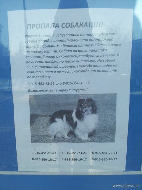 Фото не найдено