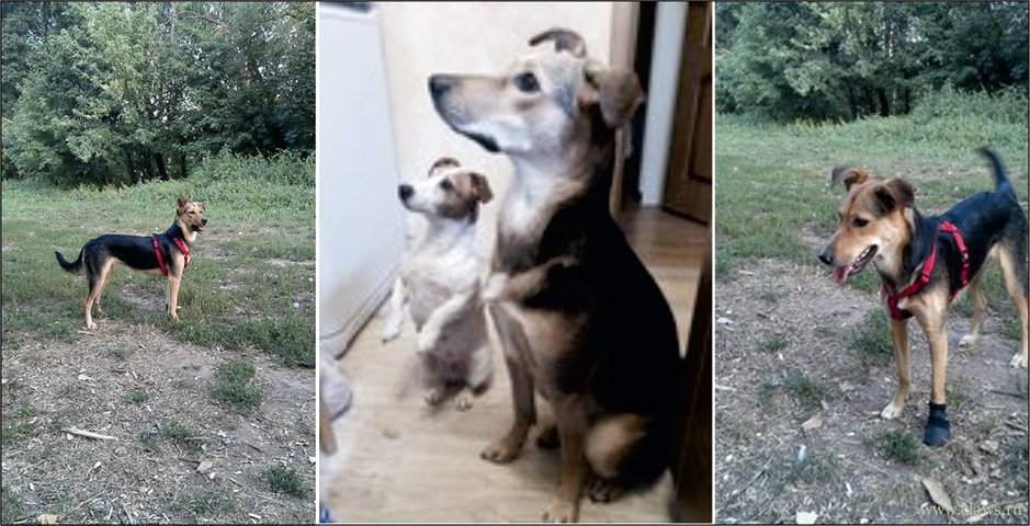 Фото не найдено