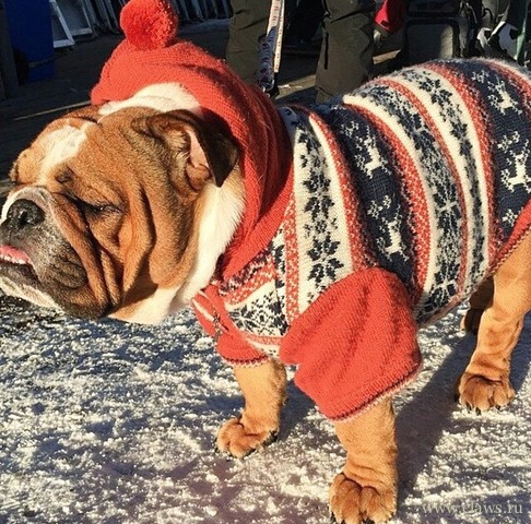 Фото не найдено