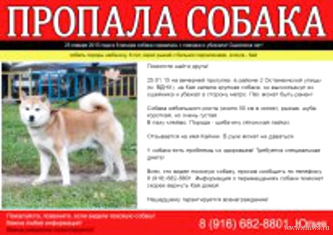Фото не найдено