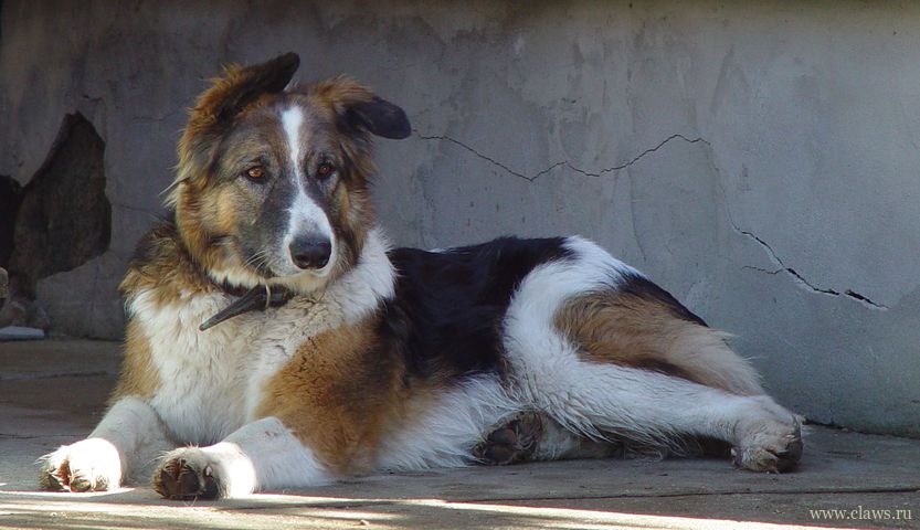 Фото не найдено