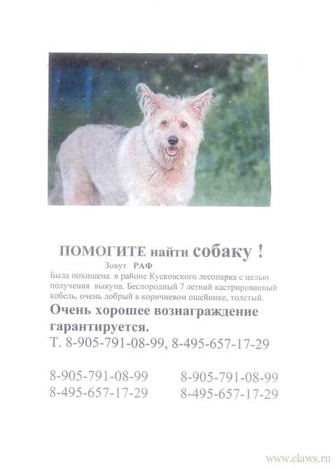 Фото не найдено