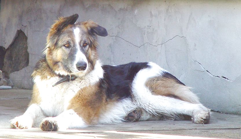 Фото не найдено