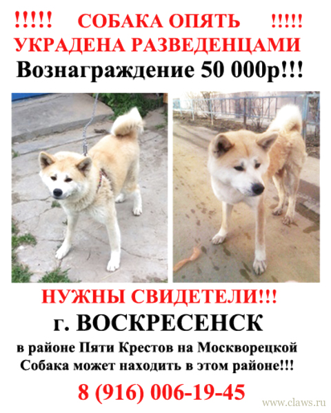Фото не найдено