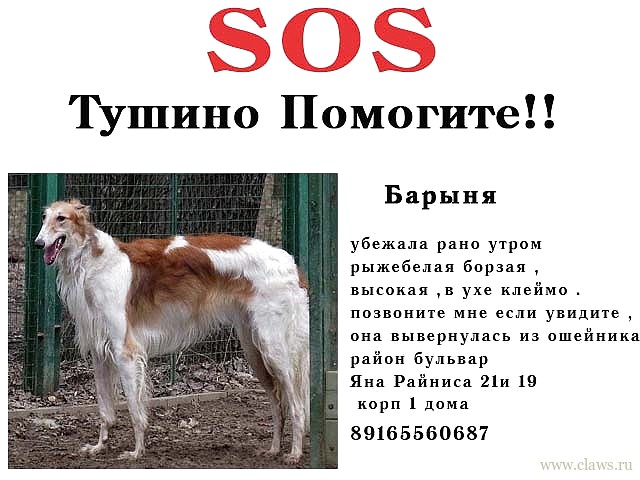 Фото не найдено